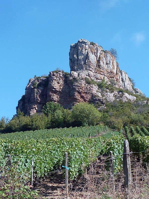 La célèbre roche au dessus du vignoble - Solutré-Pouilly