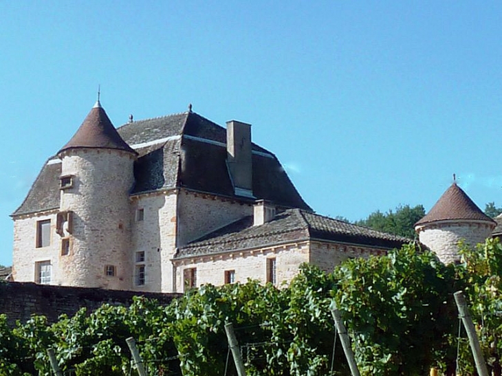 Le château de Pouilly - Solutré-Pouilly