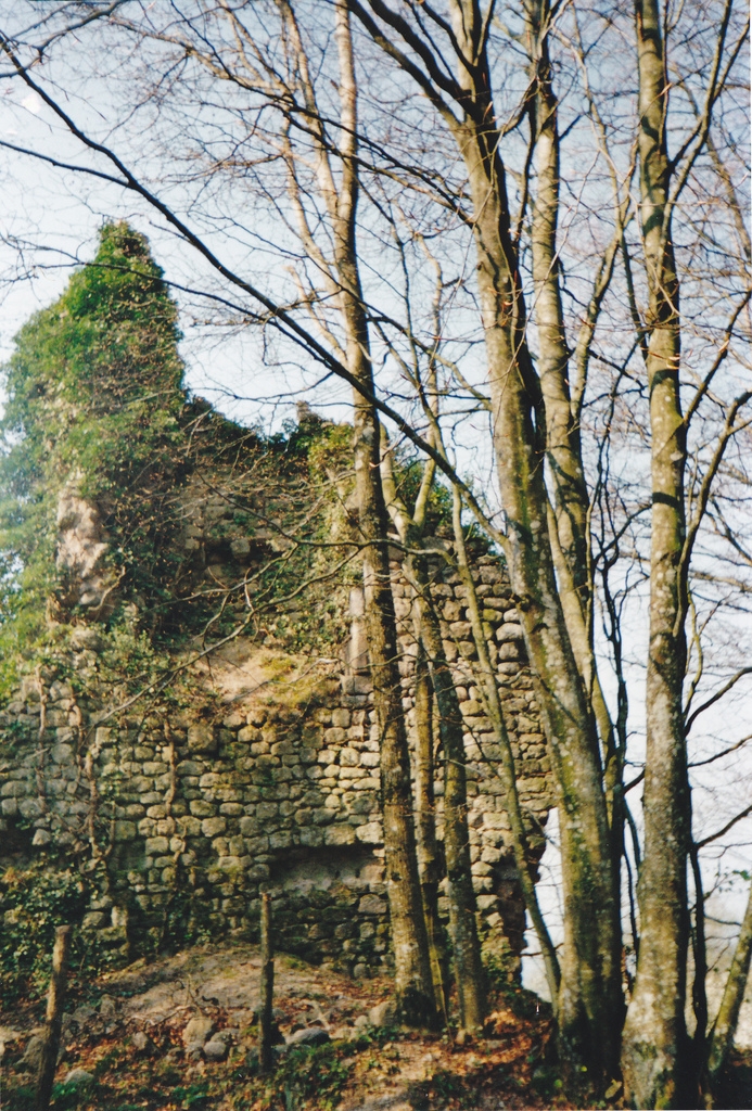 Les ruines du château - Uchon