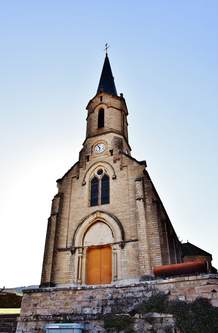  église Saint-Martin - Vergisson