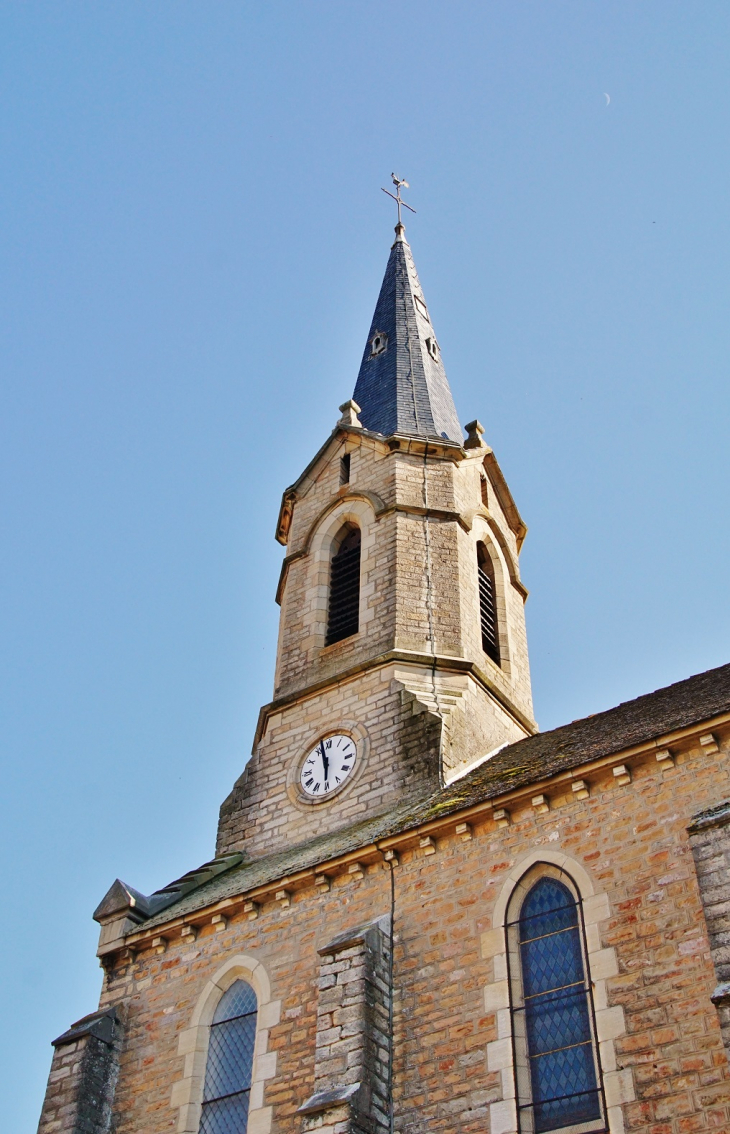 église Saint-Martin - Vergisson