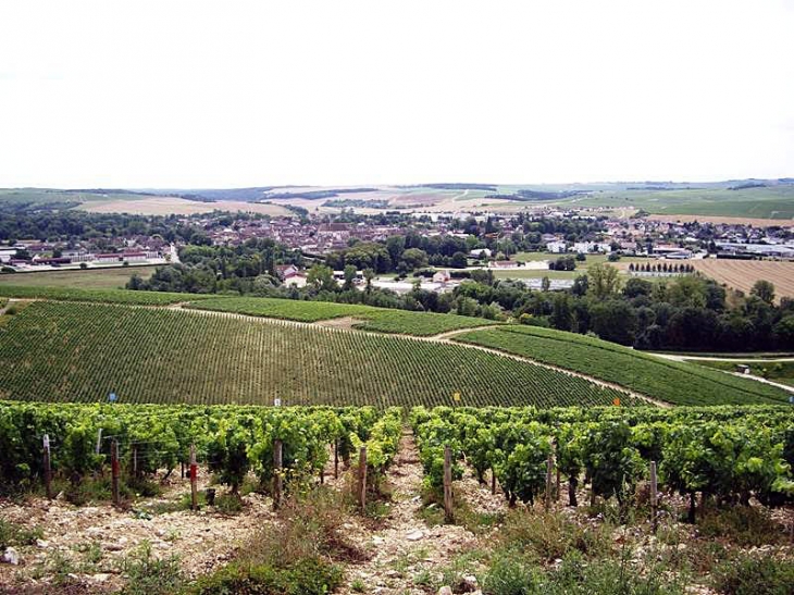 La ville vue du vignoble - Chablis