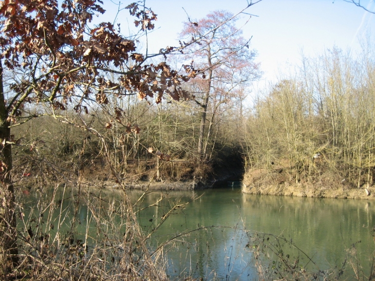 Armançon - ru de Preblin - Cheny