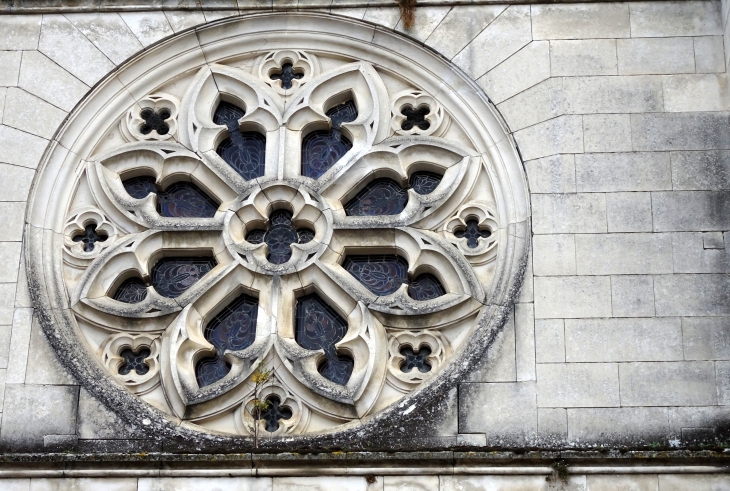 Rose du portail - Courson-les-Carrières