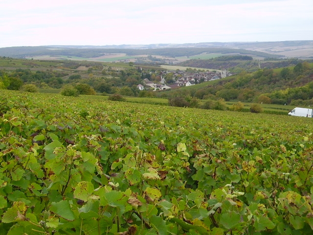 Vue du Poteau, Irancy