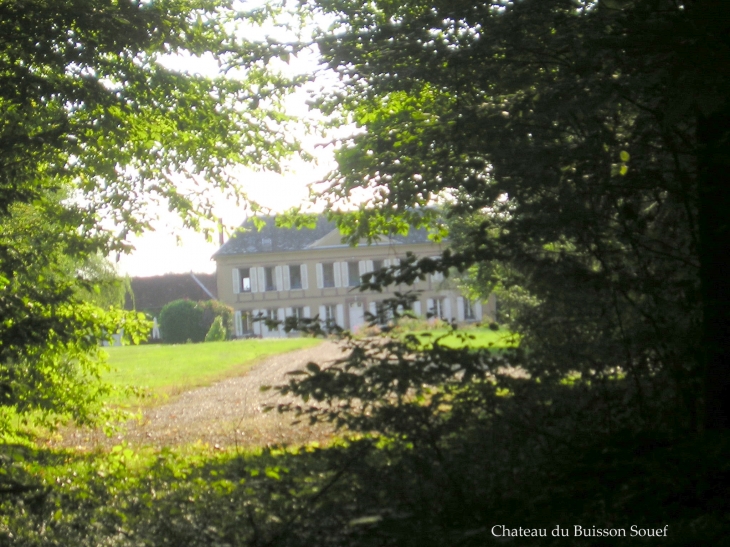 Le Château de Buisson Souef - Les Bordes