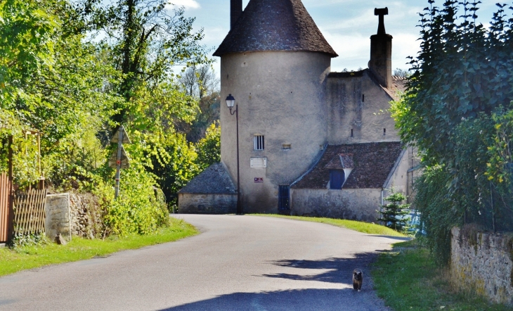 Petit Castel  - Pierre-Perthuis