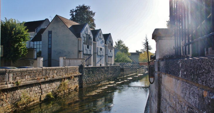 L'Armançon - Tonnerre