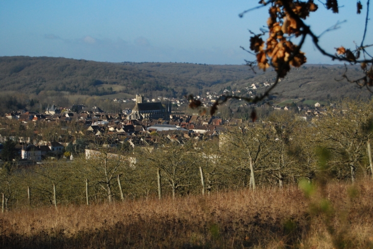 Vue de villeneuve sur yonne prise d'une colline - Villeneuve-sur-Yonne