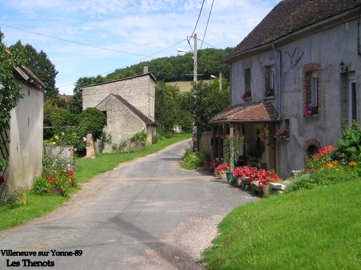 Les Thénos hameau de Villeneuve sur Yonne - Villeneuve-sur-Yonne