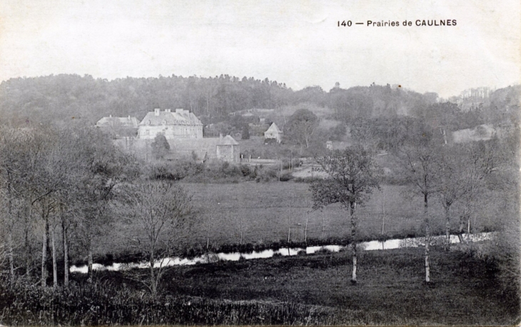Les Prairies, vers 1904 (carte postale ancienne). - Caulnes