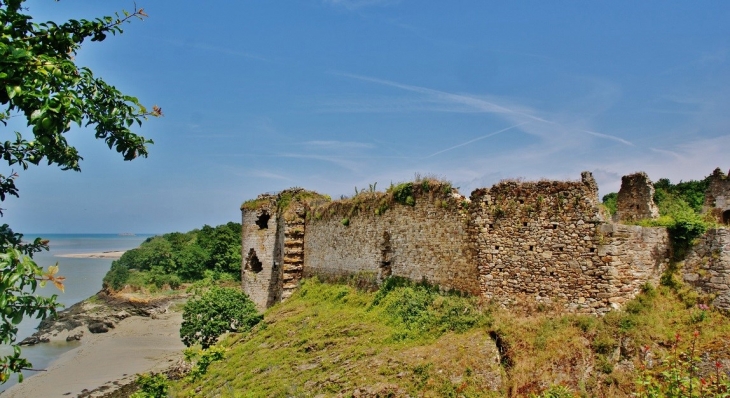 Ruines du Château  - Créhen