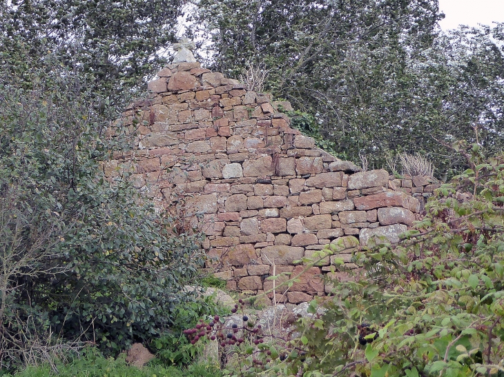 île du Nord : ruines de la chapelle Saint Rion - Île-de-Bréhat