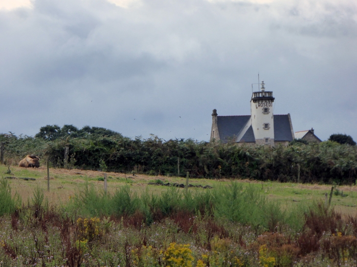 Le phare du Rosédo - Île-de-Bréhat