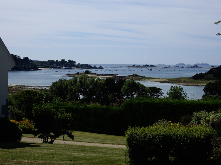 Baie du Pellinnec (Port blanc dans le fond) - Penvénan