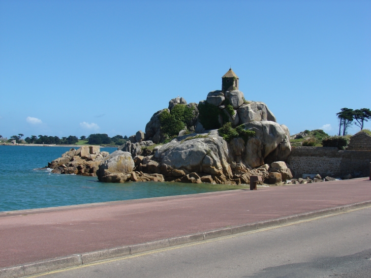 La sentinelle (dit le rocher du voleur) Port Blanc - Penvénan