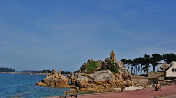 Port-Blanc ( Commune de Penvenan )(Baie de Trestel) - Penvénan