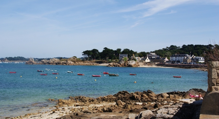 Port-Blanc ( Commune de Penvenan )(Baie de Trestel) - Penvénan