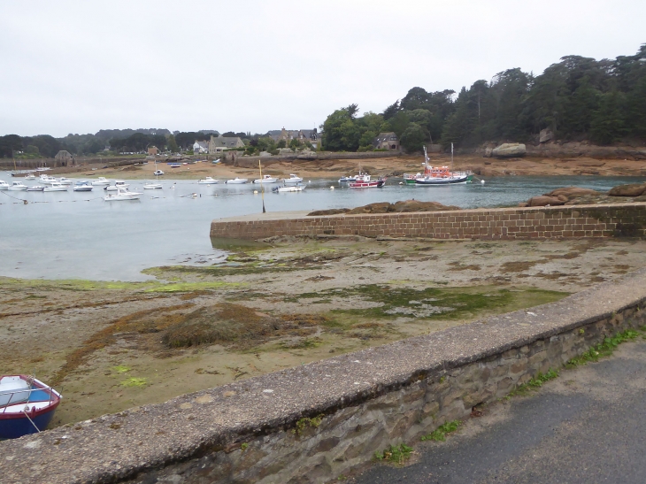 Ploumanach : le port - Perros-Guirec