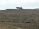 Cap Fréhel : la lande