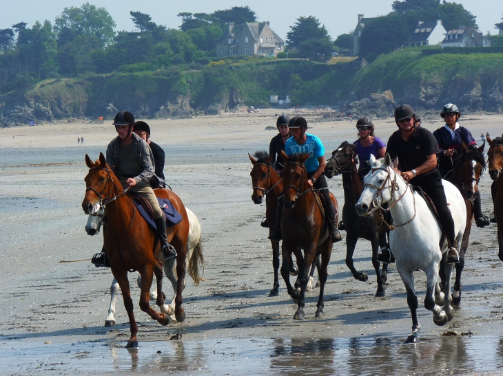 Côte à marée basse pour une superbe ballade à cheval - Saint-Jacut-de-la-Mer