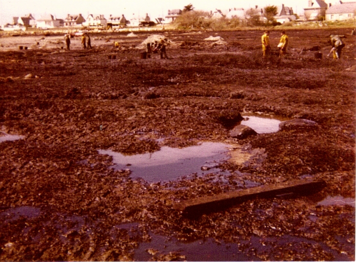 Marée noire l'amoco cadiz - Trégastel