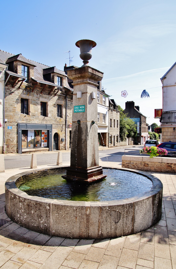 Fontaine - Châteauneuf-du-Faou
