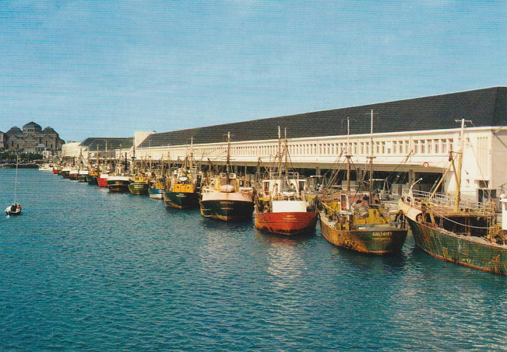 La flotille de pêche de Concarneau en 1971...