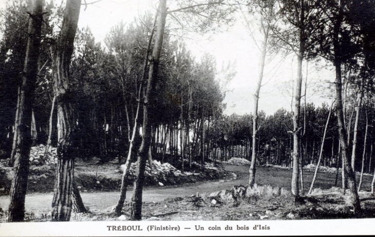 Theboul - Un coin du bois d'Isis, vers 1910 (carte postale ancienne). - Douarnenez