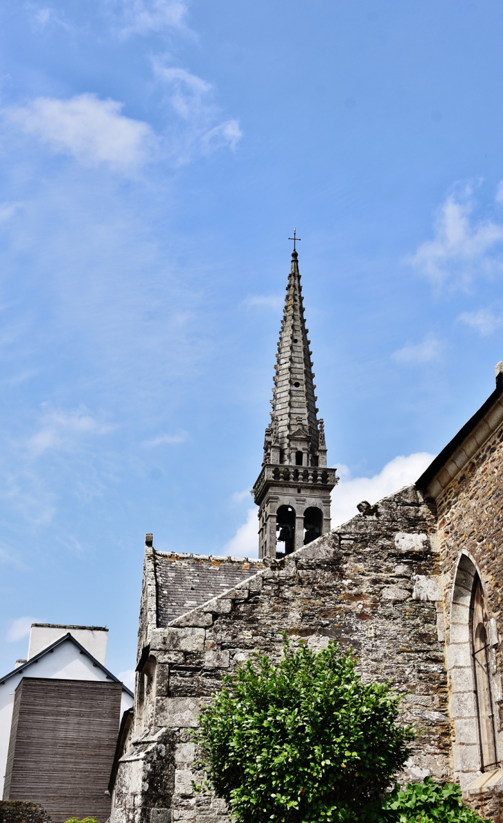  église Saint-Pierre - Gouézec
