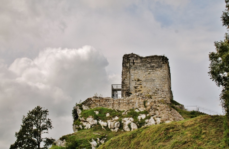 Ruines du Château - La Roche-Maurice