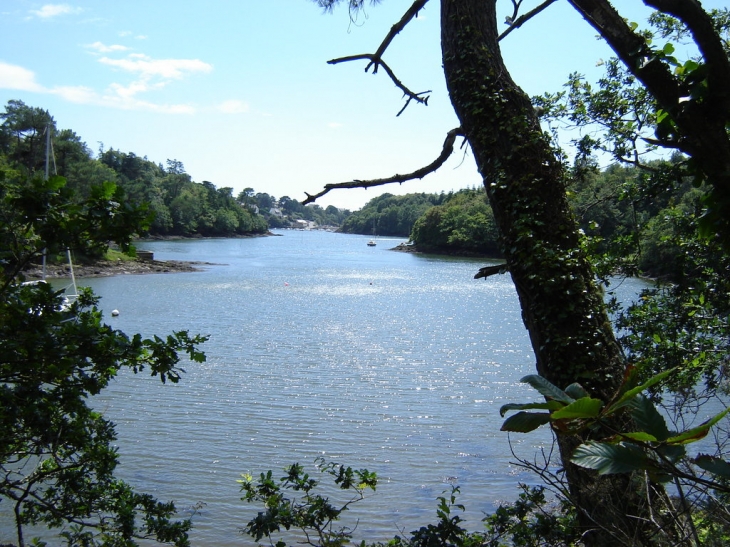La rivière de Merrien - Moëlan-sur-Mer