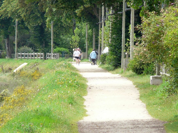 Le chemin de halage. - Quimper