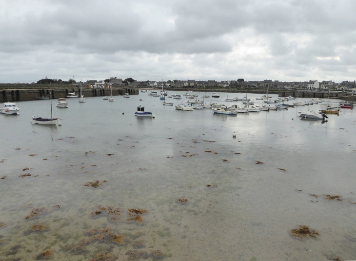 Le port - Roscoff