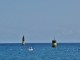 Photo précédente de Roscoff La Mer