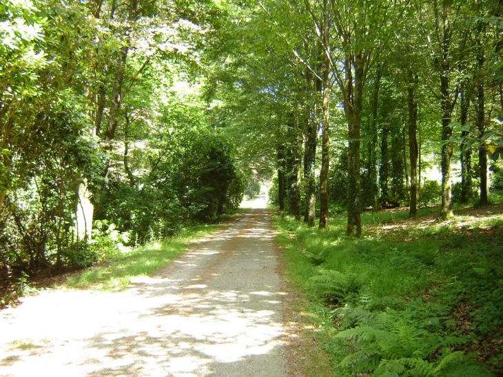 Le chateau , la chapelle et les dépendances du domaine de Trévarez - Saint-Goazec