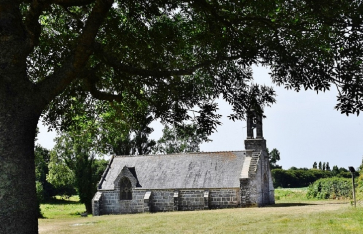  /église Saint-Riagat - Treffiagat