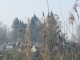 Photo suivante de Combourg le chateau dans la brume