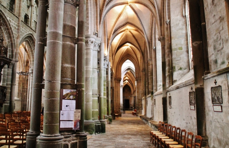   église St Samson - Dol-de-Bretagne
