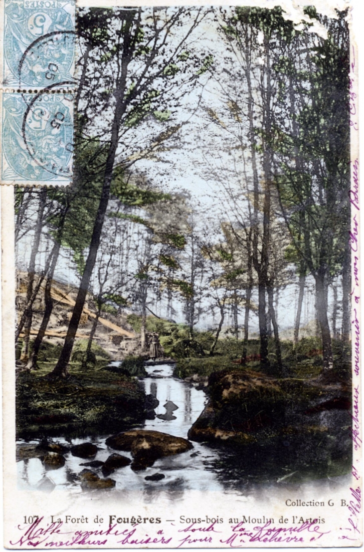 La Forêt :Sous-Bois au Moulin de l'Artois, vers 1905 (carte postale ancienne). - Fougères