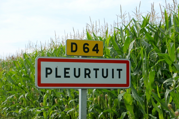 Autrefois : Plerestu, Plerestuit en 1181, plurestuit en 1231, pleurtuit en 1382