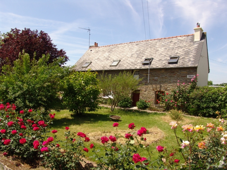 Photo à Sainte-Anne-sur-Vilaine (35390) : La Guignardais ...