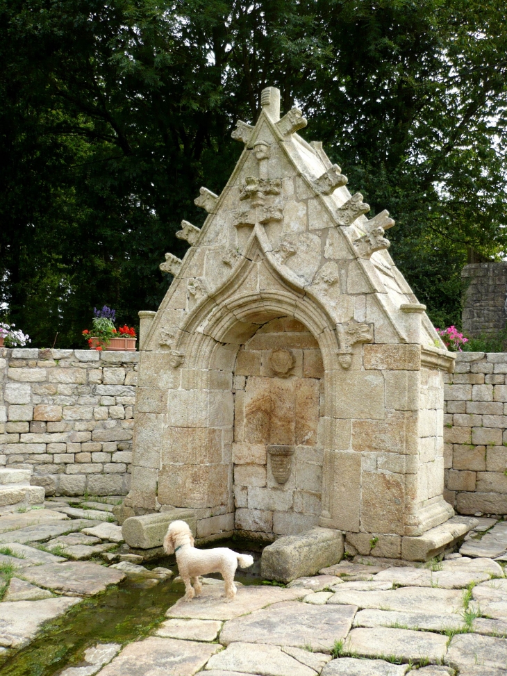 La Fontaine de Saint Bieuzy du XVI°