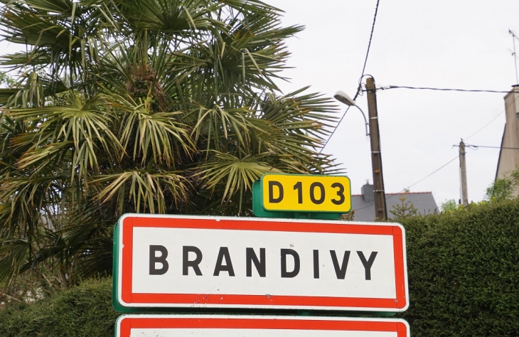  - Brandivy