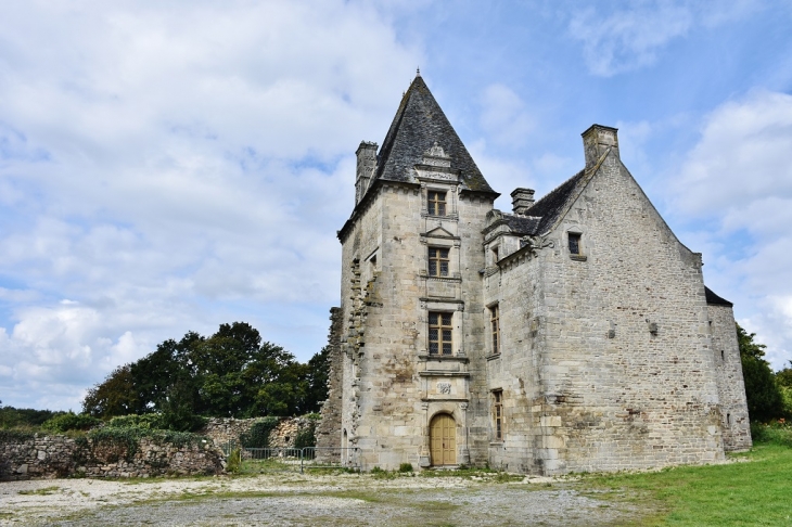 Manoir-de-Lemay - Guéhenno