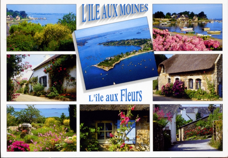 Les Maisons fleuries et le port (carte postale). - Île-aux-Moines