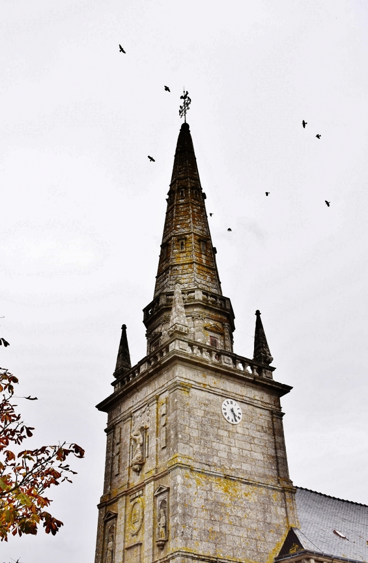 <<église Saint-Sauveur - Naizin