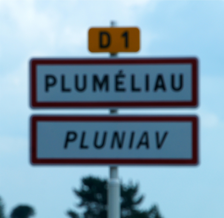 Autrefois : Ploemelieu en 1427. Plomelliau en 1481. Plumeliau en 1536. - Pluméliau