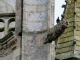 Gargouille du clocher de la chapelle de Saint Nicodeme.