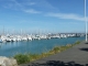 Photo précédente de Quiberon Port Haliguen 56170